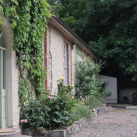 Millvale Cottage Cootehill Exterior foto