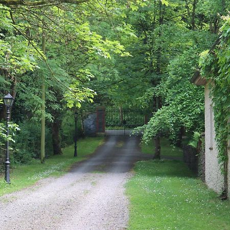 Millvale Cottage Cootehill Exterior foto