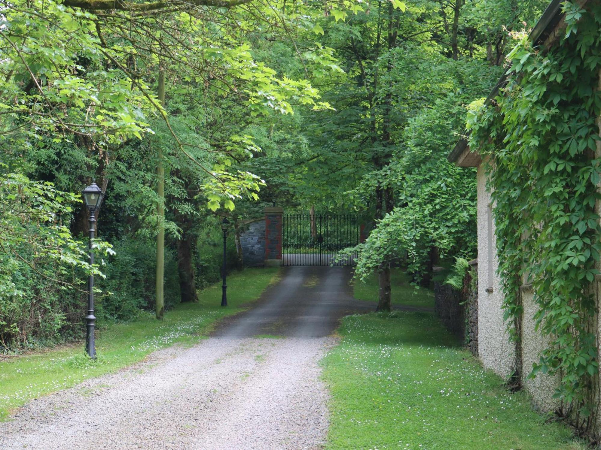 Millvale Cottage Cootehill Exterior foto
